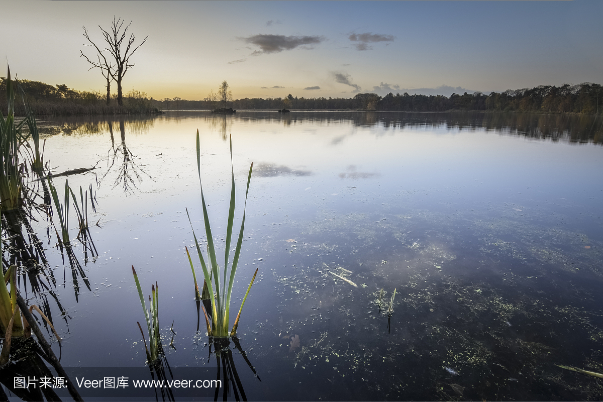 水產(chǎn)養(yǎng)殖過(guò)程中亞硝酸鹽之用藥總結(jié)